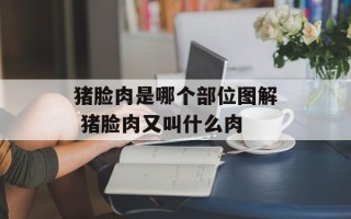猪脸肉是哪个部位图解 猪脸肉又叫什么肉
