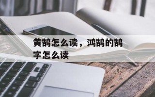 黄鹄怎么读，鸿鹄的鹄字怎么读