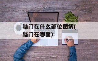 脑门在什么部位图解(脑门在哪里)