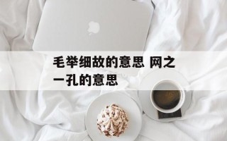 毛举细故的意思 网之一孔的意思