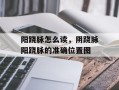 阳跷脉怎么读，阴跷脉阳跷脉的准确位置图