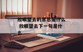 放眼望去的意思是什么 放眼望去下一句是什么