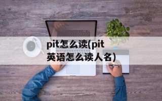 pit怎么读(pit英语怎么读人名)