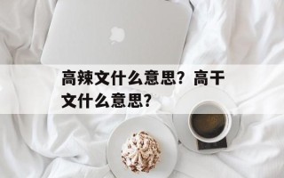 高辣文什么意思？高干文什么意思？