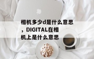 相机多少d是什么意思，DIGITAL在相机上是什么意思