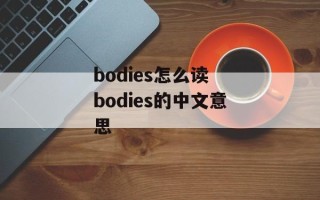 bodies怎么读 bodies的中文意思