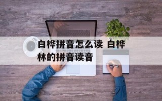 白桦拼音怎么读 白桦林的拼音读音