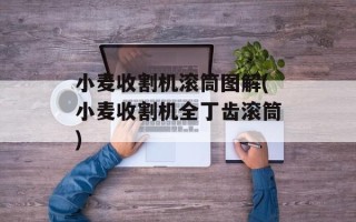 小麦收割机滚筒图解(小麦收割机全丁齿滚筒)