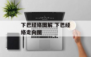 下巴经络图解 下巴经络走向图