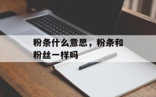 粉条什么意思，粉条和粉丝一样吗