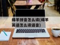 绵羊拼音怎么读(绵羊英语怎么读语音)
