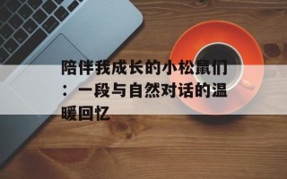 陪伴我成长的小松鼠们：一段与自然对话的温暖回忆