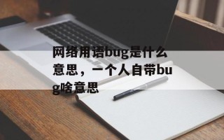 网络用语bug是什么意思，一个人自带bug啥意思