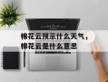棉花云预示什么天气，棉花云是什么意思