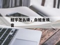 鲑字怎么读，白鲑鱼读音