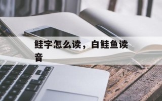 鲑字怎么读，白鲑鱼读音