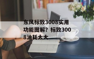 东风标致3008实用功能图解？标致3008油耗太大