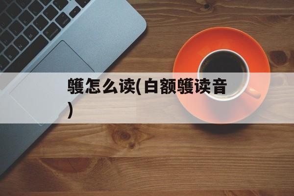 鹱怎么读(白额鹱读音)-第1张图片-