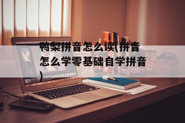 鸭梨拼音怎么读(拼音怎么学零基础自学拼音)-第1张图片-