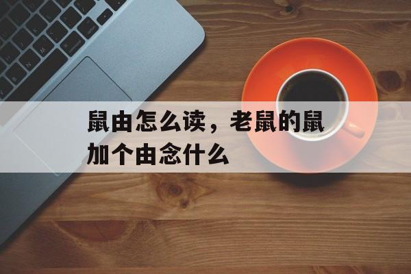 鼠由怎么读，老鼠的鼠加个由念什么-第1张图片-