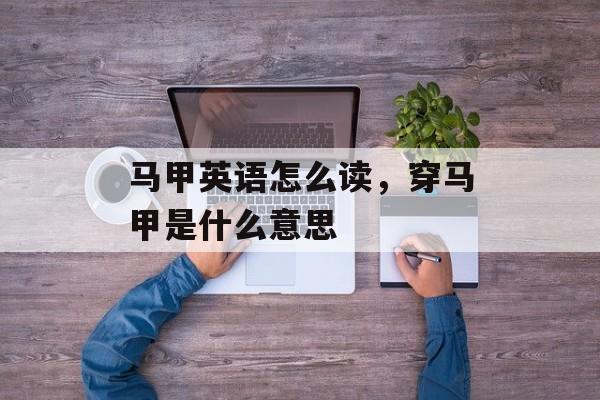 马甲英语怎么读，穿马甲是什么意思-第1张图片-