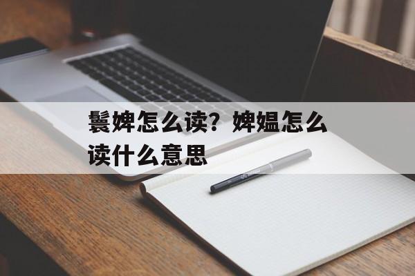 鬟婢怎么读？婢媪怎么读什么意思-第1张图片-