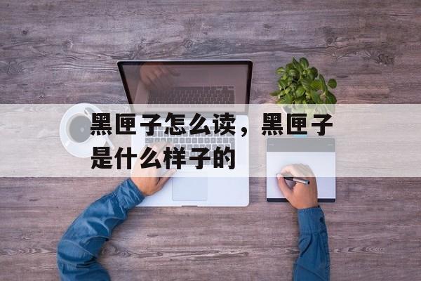 黑匣子怎么读，黑匣子是什么样子的-第1张图片-