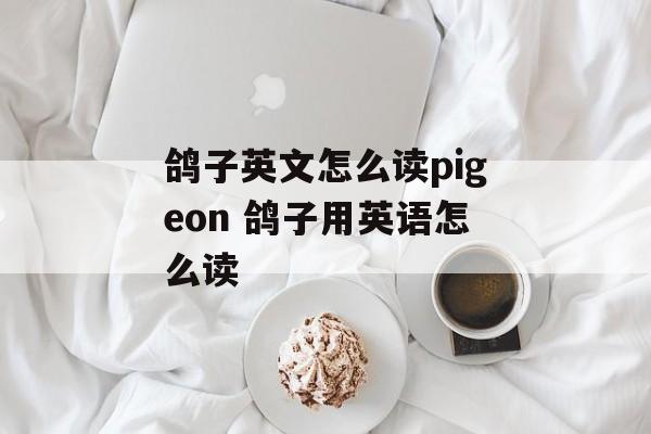 鸽子英文怎么读pigeon 鸽子用英语怎么读-第1张图片-