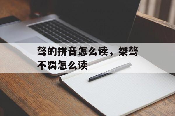 骜的拼音怎么读，桀骜不羁怎么读-第1张图片-