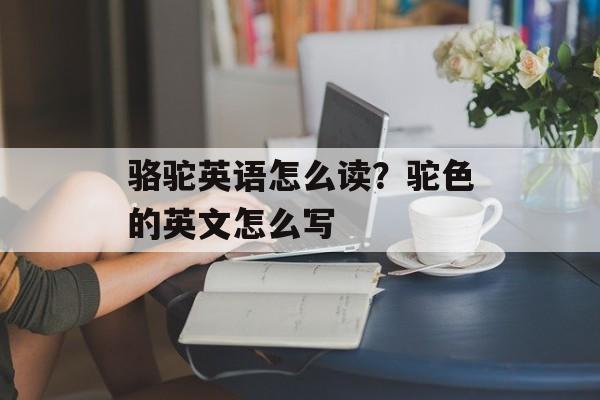 骆驼英语怎么读？驼色的英文怎么写-第1张图片-