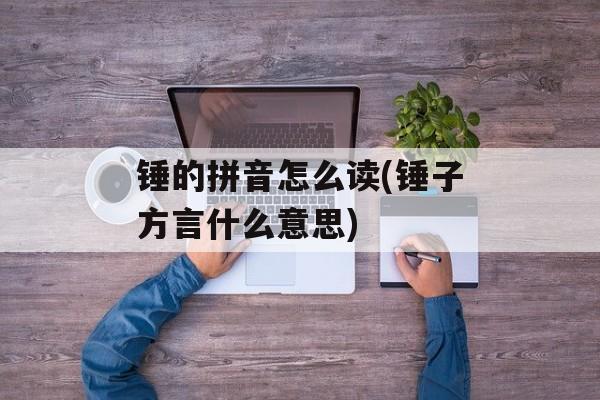 锤的拼音怎么读(锤子方言什么意思)-第1张图片-