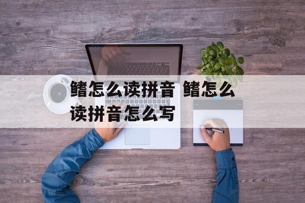 鳍怎么读拼音 鳍怎么读拼音怎么写-第1张图片-