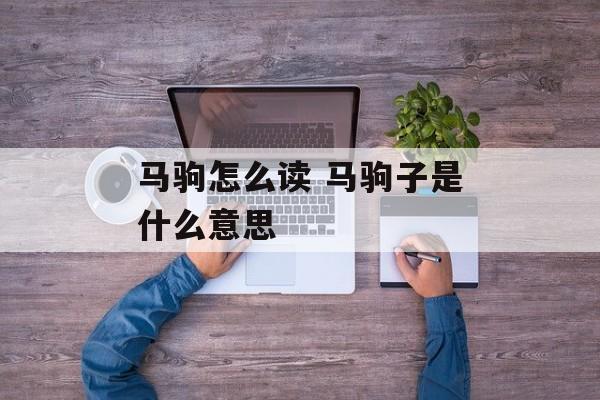 马驹怎么读 马驹子是什么意思-第1张图片-