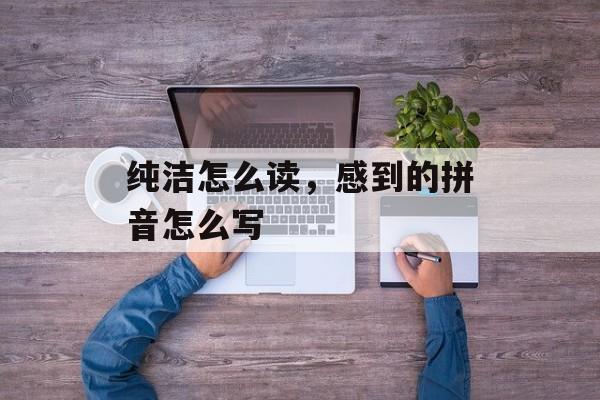 纯洁怎么读，感到的拼音怎么写-第1张图片-