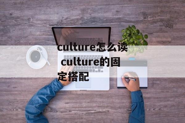culture怎么读 culture的固定搭配-第1张图片-