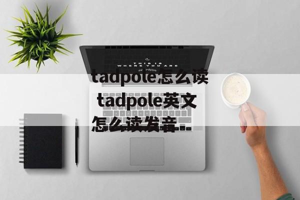 tadpole怎么读 tadpole英文怎么读发音-第1张图片-