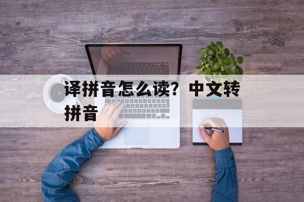 译拼音怎么读？中文转拼音-第1张图片-