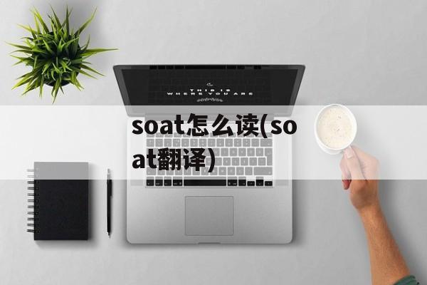 soat怎么读(soat翻译)-第1张图片-