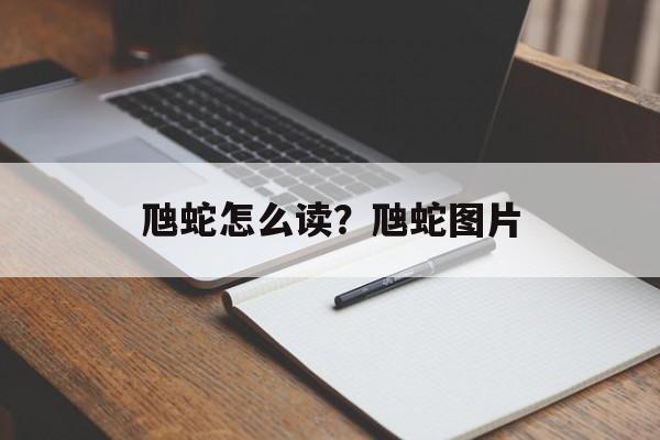 虺蛇怎么读？虺蛇图片-第1张图片-