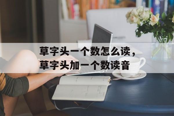 草字头一个数怎么读，草字头加一个数读音-第1张图片-