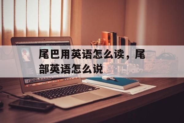 尾巴用英语怎么读，尾部英语怎么说-第1张图片-