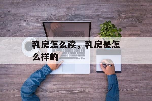 乳房怎么读，乳房是怎么样的-第1张图片-