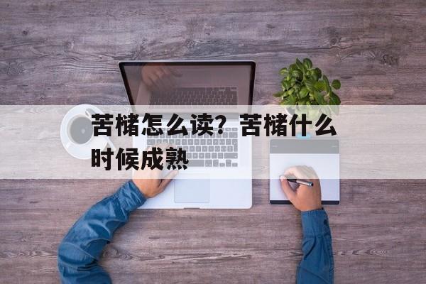 苦槠怎么读？苦槠什么时候成熟-第1张图片-