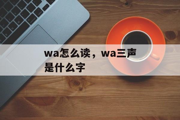 wa怎么读，wa三声是什么字-第1张图片-