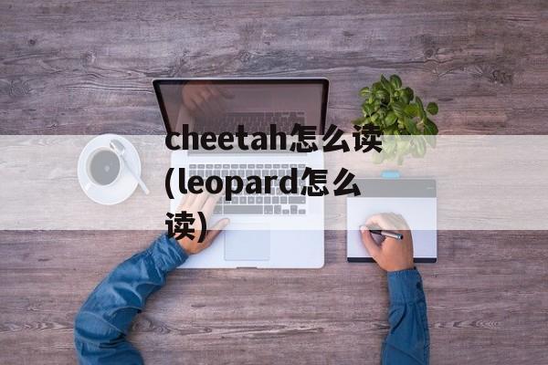 cheetah怎么读(leopard怎么读)-第1张图片-