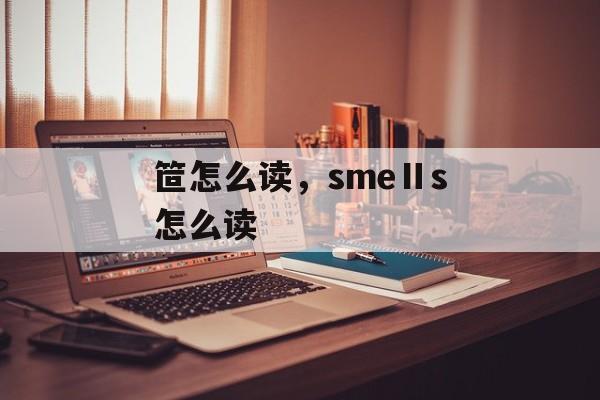 笸怎么读，smeⅡs怎么读-第1张图片-