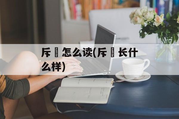 斥鷃怎么读(斥鷃长什么样)-第1张图片-