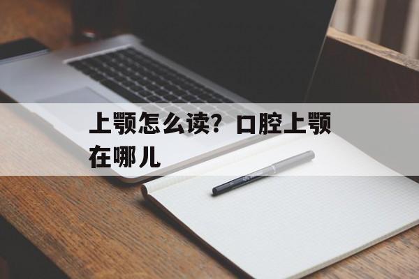 上颚怎么读？口腔上颚在哪儿-第1张图片-