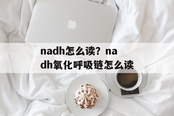 nadh怎么读？nadh氧化呼吸链怎么读-第1张图片-
