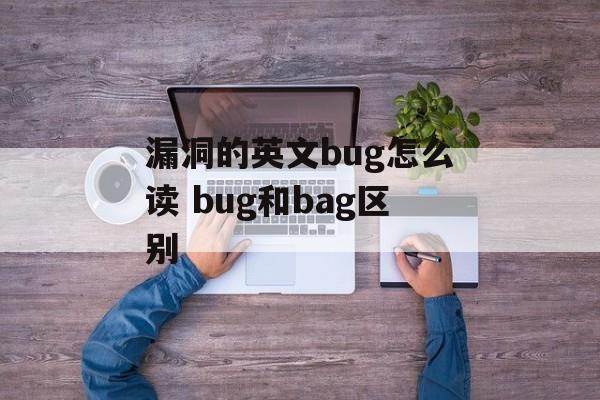 漏洞的英文bug怎么读 bug和bag区别-第1张图片-